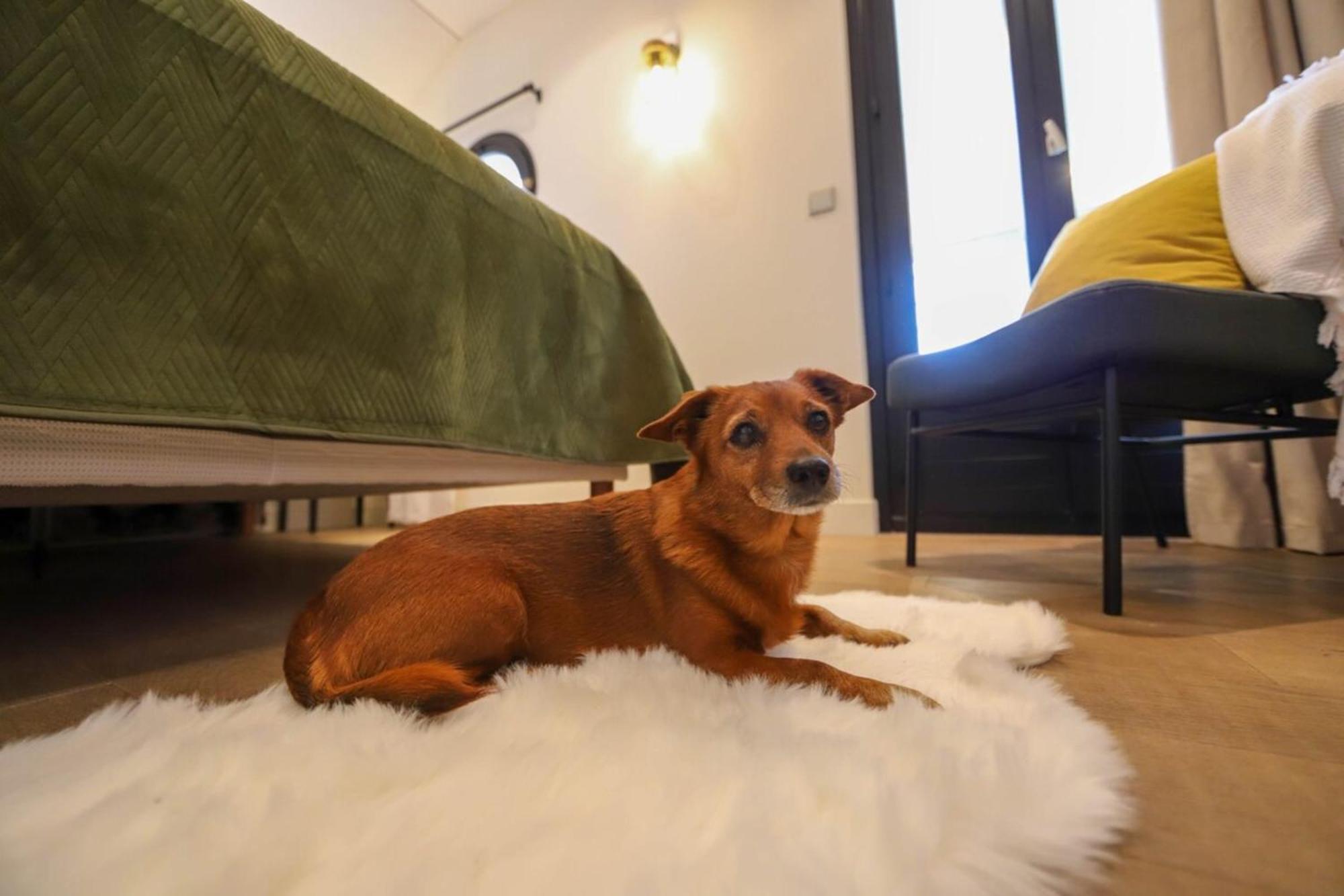 Chez Maminou - 8 Couchages Parking Proche Centre Apartment Annecy Bagian luar foto